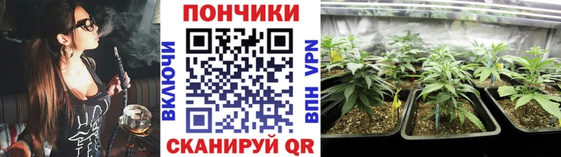 Псилоцибиновые грибы Заволжье