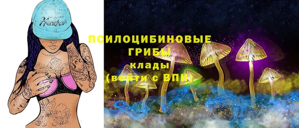 героин Рославль
