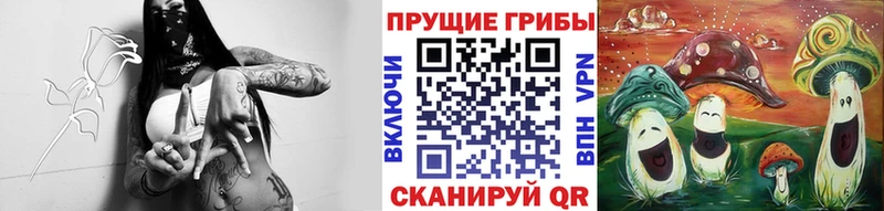 Псилоцибиновые грибы Magic Shrooms  Купить где  Заволжье 